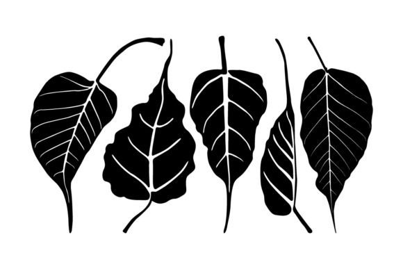Evaluating Bodhi Leaves Silhouette Vectors for Design Projects